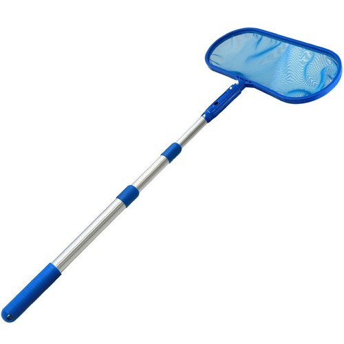 Swimming pool debris leaf - swimming,
